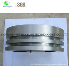 Stainless Steel Piston Body with Different Stages